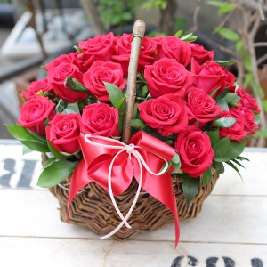 ��ǰ ������