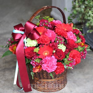 ��ǰ ������