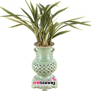 ��ǰ ������