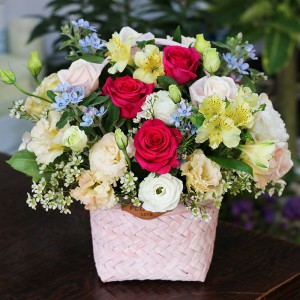 ��ǰ ������