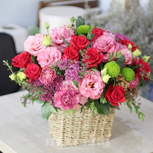 ��ǰ ������