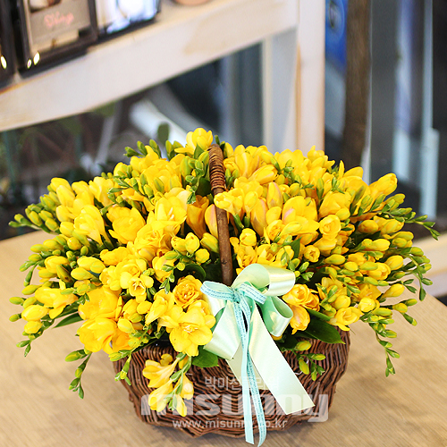 »óǰ ¼¶³×ÀÏ »óǰ ¼¶³×ÀÏ